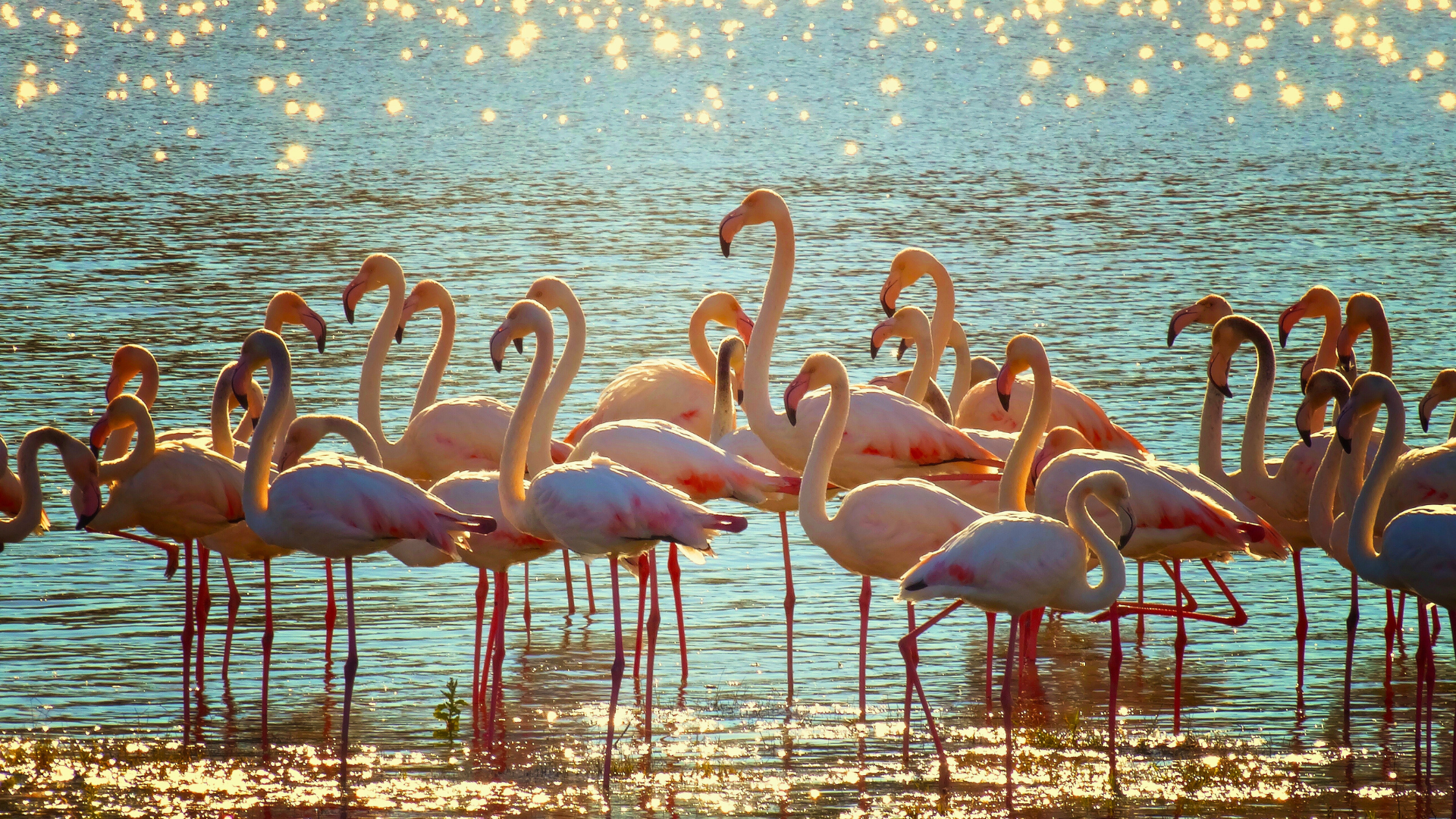 Lio Piccolo Natura, Storia E Sapori
